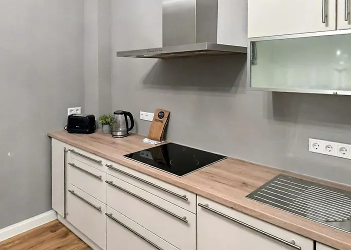 Apartament Denkmal-apartment Zentral In Mit Hohen Decken *